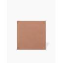 Carrelage Extérieur Pleine Masse Terracotta -R10- 31x31cm - FV2702194