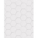 Carrelage Hexagonal Sur Maille Blanche - 27x28cm - FV2702426