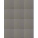 Carrelage Nuancier Mat Gris Anthracite - 15x15cm - FV2702438