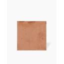 Carrelage Calandra - Terre Cuite Fait Main Base Terracotta Rouge - 15x15cm - FV2702406