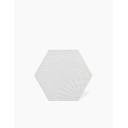 CARRELAGE HEXAGONAL GOYA BLANC 22X25 CM - FV2702004